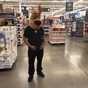 Meet your Posher, Phillip